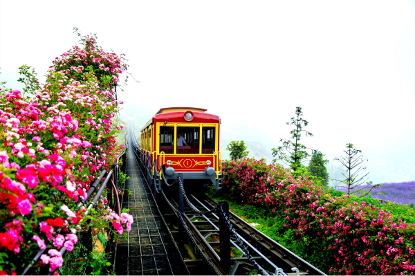 Tàu hỏa leo núi Mường Hoa Sapa