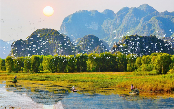 Vườn chim Thung Nham cách Tam Cốc khoảng 5km